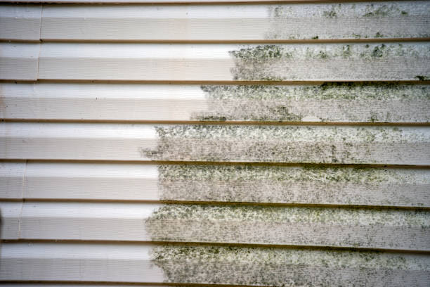 Best Siding Painting and Refinishing  in Grifton, NC