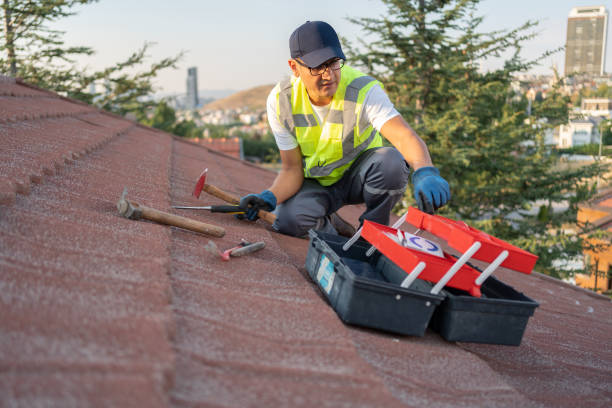 Best Insulated Siding Installation  in Grifton, NC